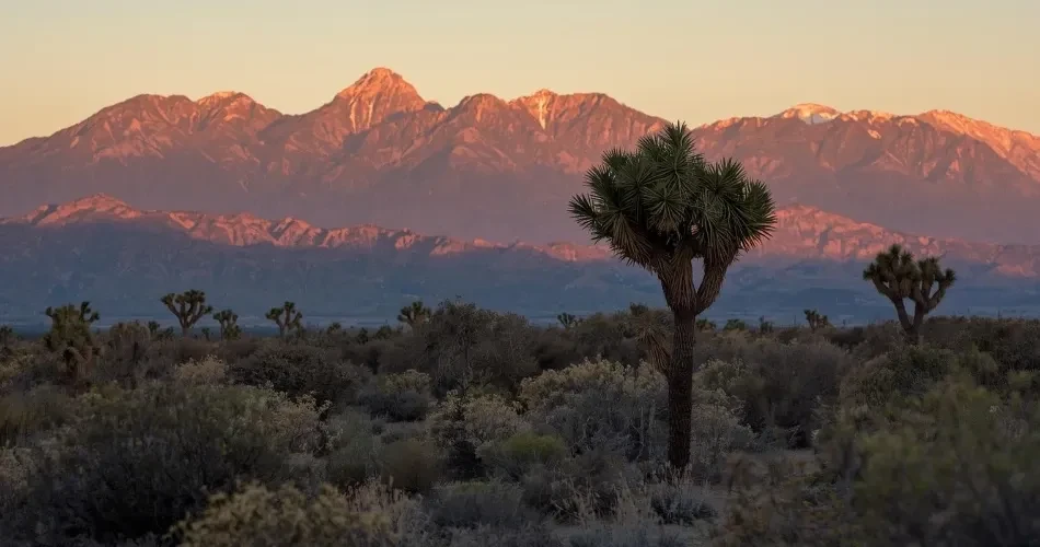 Ultimate Guide to Exploring Lone Pine, USA: Gateway to the Eastern Sierra